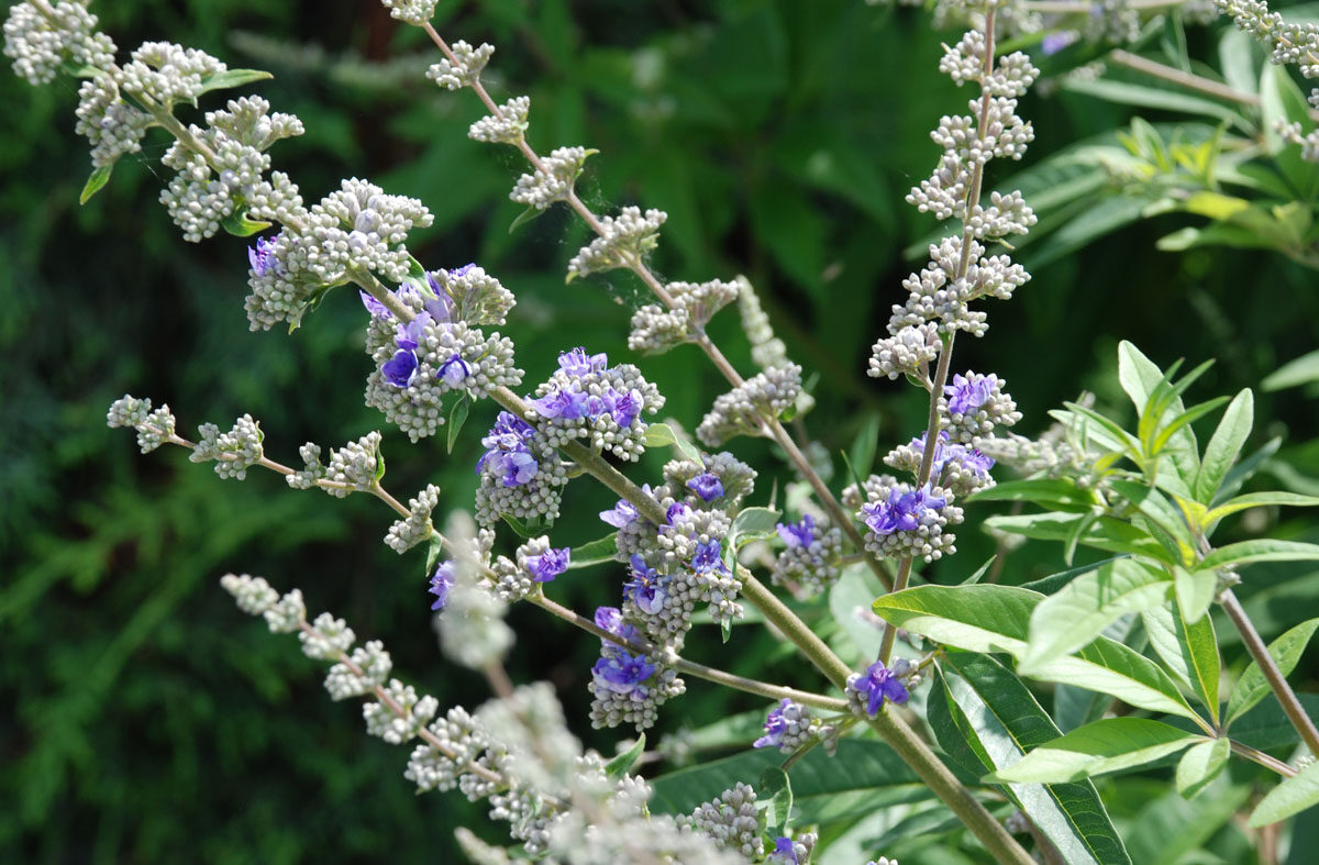 Bild Slider Fotoshooting 3